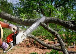 Soil Testing and Treatment in Princeton, KY